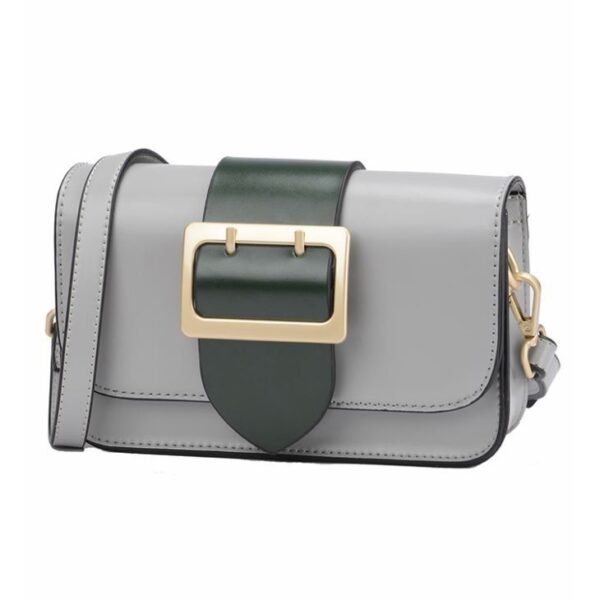 mini buckle bag